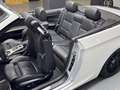 BMW 330 E93 330Cabrio*SHZ*PDC*M PAKET*KLIMA*XENON*TAUSCH Silber - thumbnail 13