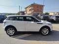 Land Rover Range Rover Evoque Range Rover Evoque 2.0 TD4 150 CV 5p. HSE Dynamic Bianco - thumbnail 8