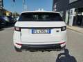 Land Rover Range Rover Evoque Range Rover Evoque 2.0 TD4 150 CV 5p. HSE Dynamic Bianco - thumbnail 6