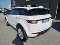 Land Rover Range Rover Evoque Range Rover Evoque 2.0 TD4 150 CV 5p. HSE Dynamic Bianco - thumbnail 5