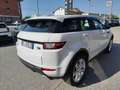Land Rover Range Rover Evoque Range Rover Evoque 2.0 TD4 150 CV 5p. HSE Dynamic Bianco - thumbnail 7
