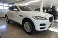 Jaguar F-Pace F-Pace Pure Kessy/Xenon/Kamera Weiß - thumbnail 3
