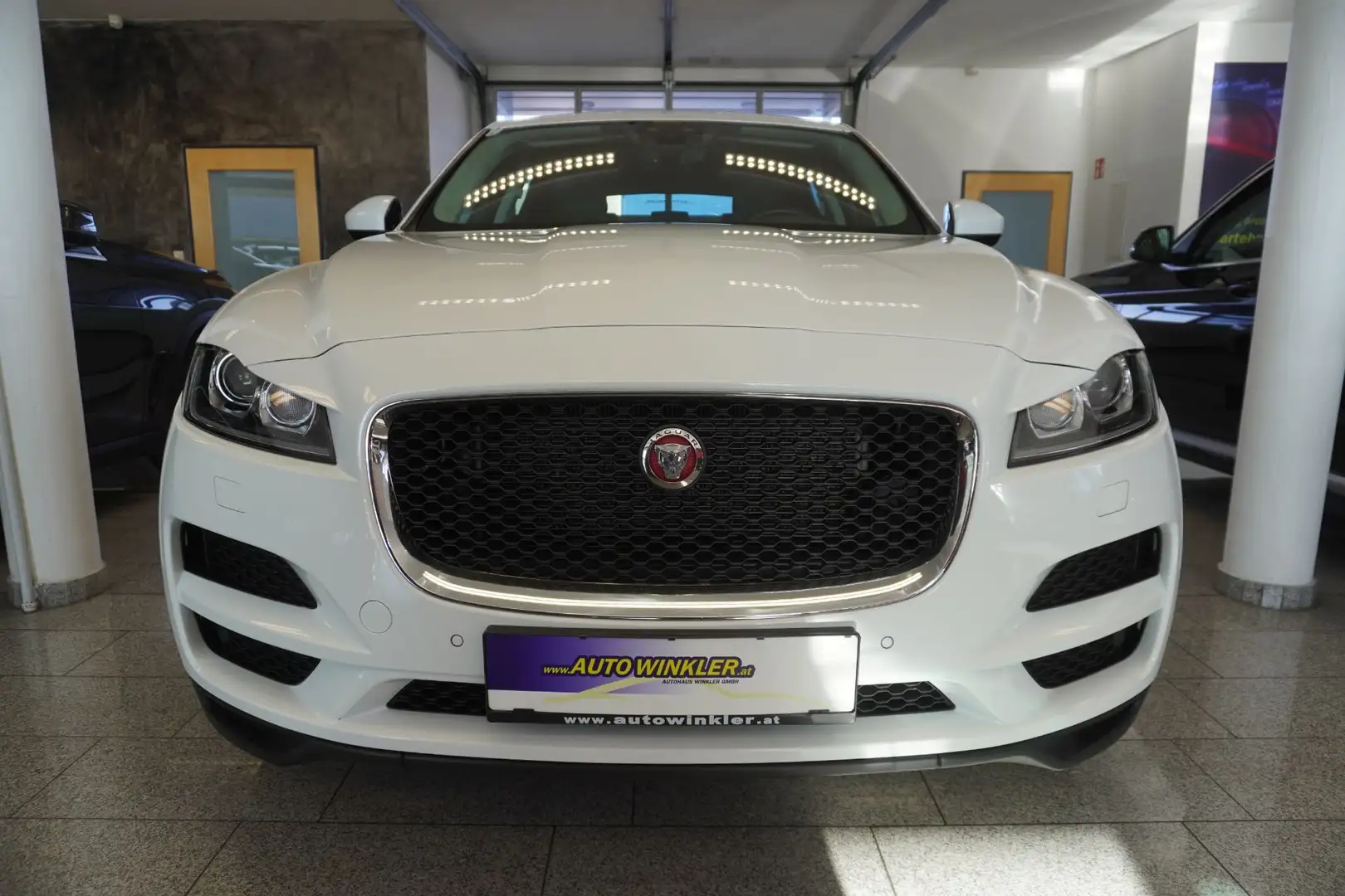 Jaguar F-Pace F-Pace Pure Kessy/Xenon/Kamera Weiß - 2