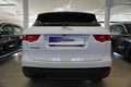 Jaguar F-Pace F-Pace Pure Kessy/Xenon/Kamera Weiß - thumbnail 6