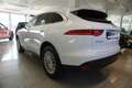 Jaguar F-Pace F-Pace Pure Kessy/Xenon/Kamera Weiß - thumbnail 4