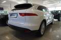 Jaguar F-Pace F-Pace Pure Kessy/Xenon/Kamera Weiß - thumbnail 5