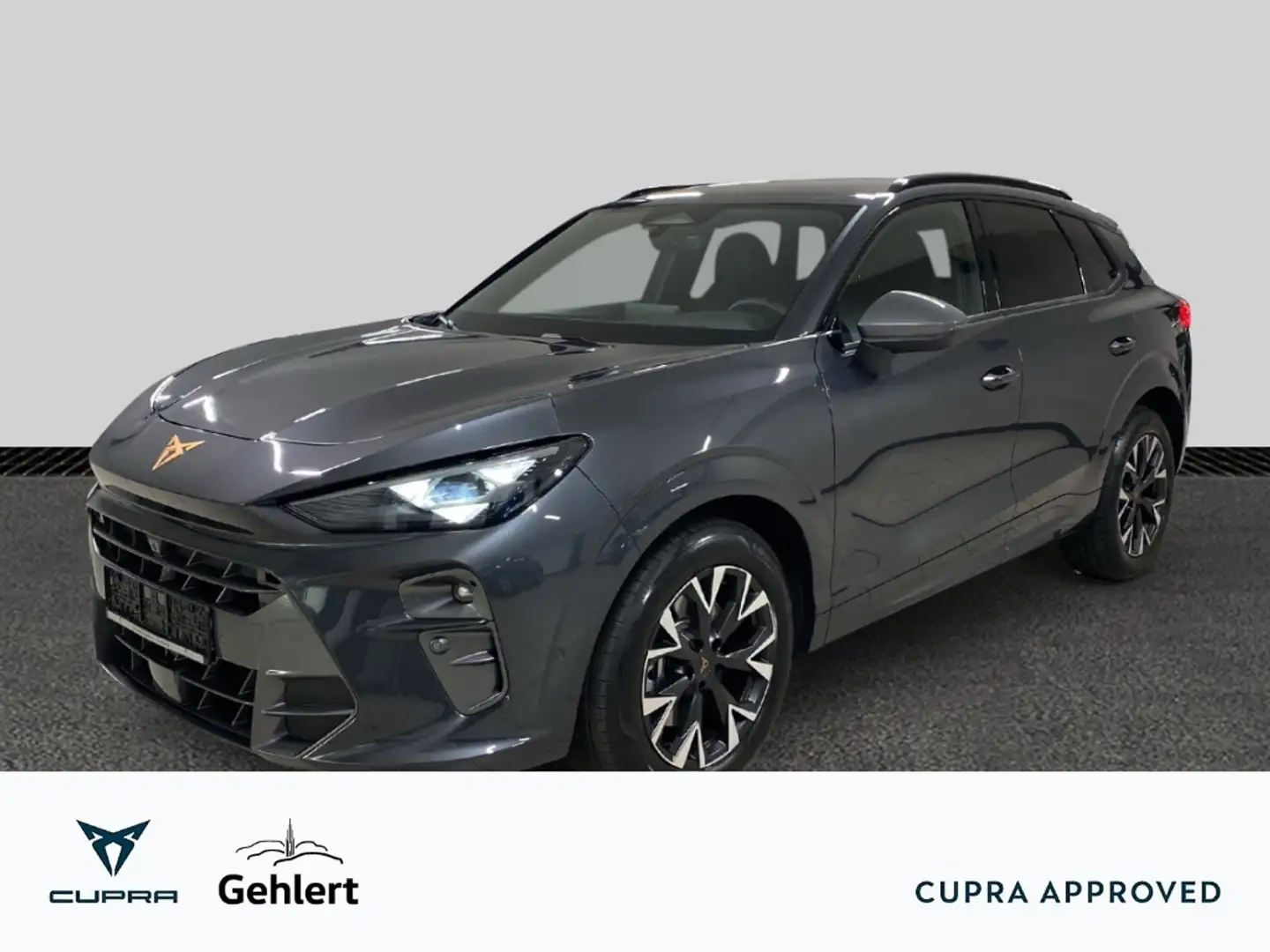 CUPRA Terramar 2.0 TSI 150 kW 4Drive HUD AHK-klappbar Navi Digita Grau - 1