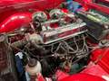 Triumph TR4 A IRS Surrey-Top Rojo - thumbnail 19