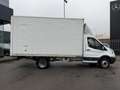 Ford Transit V363 RWD 350 2.0 tdci 170cv entry L4 r.gem. E6 Bianco - thumbnail 8