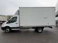 Ford Transit V363 RWD 350 2.0 tdci 170cv entry L4 r.gem. E6 Bianco - thumbnail 3