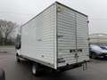 Ford Transit V363 RWD 350 2.0 tdci 170cv entry L4 r.gem. E6 Bianco - thumbnail 4