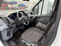 Ford Transit V363 RWD 350 2.0 tdci 170cv entry L4 r.gem. E6 Bianco - thumbnail 12
