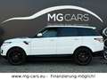 Land Rover Range Rover Sport S~Panorama~Leder~21*Zoll~4x4! Weiß - thumbnail 5