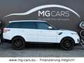 Land Rover Range Rover Sport S~Panorama~Leder~21*Zoll~4x4! Weiß - thumbnail 3