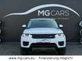 Land Rover Range Rover Sport S~Panorama~Leder~21*Zoll~4x4! Weiß - thumbnail 4