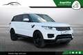 Land Rover Range Rover Sport S~Panorama~Leder~21*Zoll~4x4! Weiß - thumbnail 1
