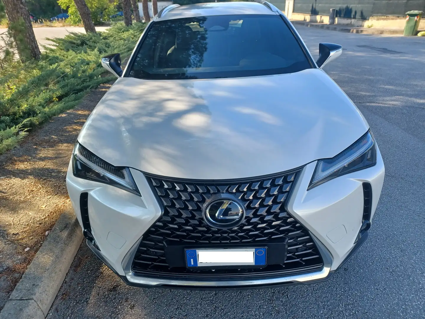 Lexus UX 300h Urban Wit - 1