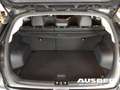 Kia Niro e-Vision 39,2 kWh Winterpaket mit Winterrädern Grau - thumbnail 13
