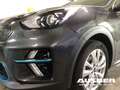 Kia Niro e-Vision 39,2 kWh Winterpaket mit Winterrädern Grau - thumbnail 6