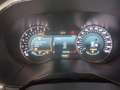 Ford Galaxy 2.0 TDCi 150cv Titanium Business Powershift Grigio - thumbnail 12