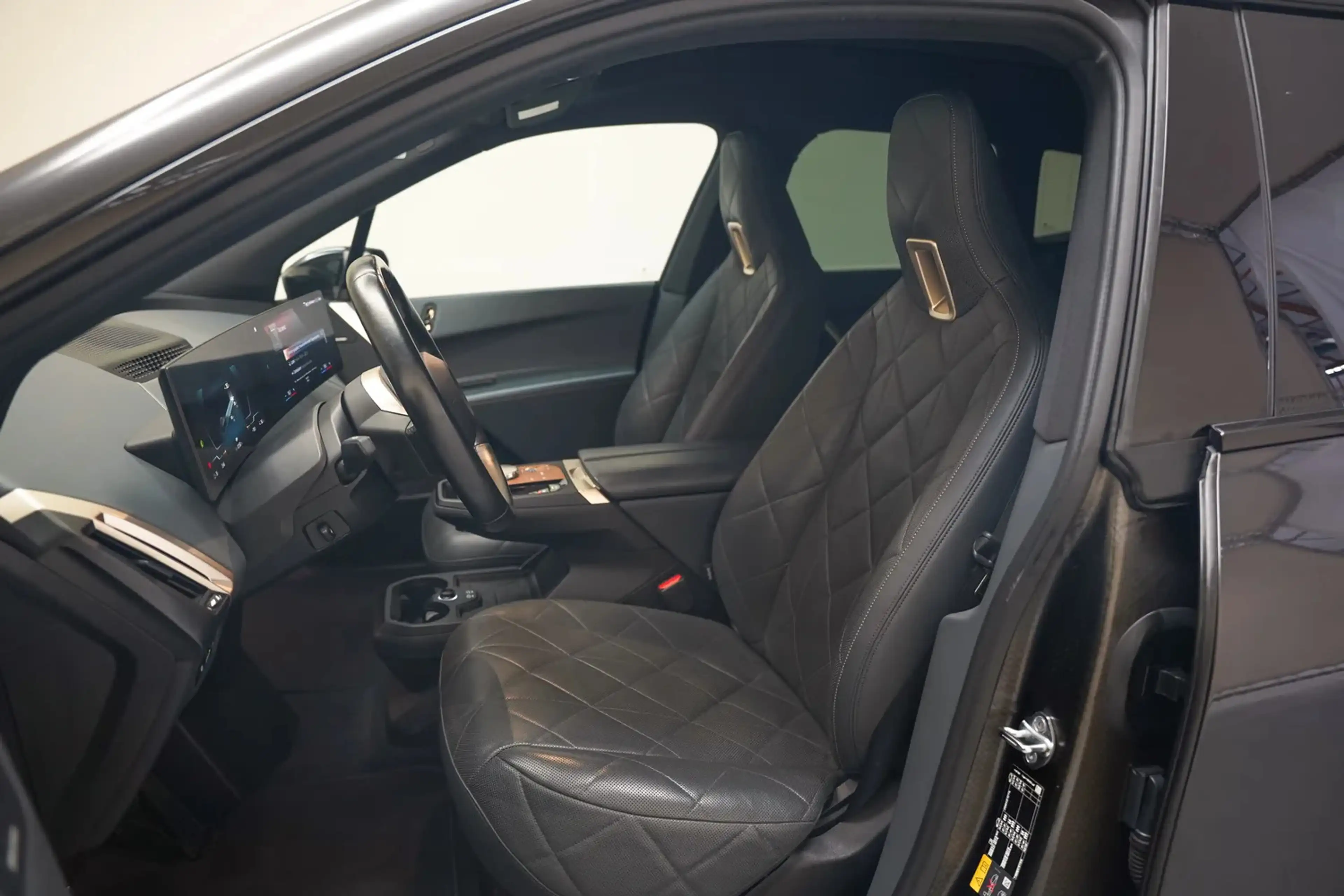 BMW iX xDrive40 High Executive 70 kWh [ Panorama Leder Ha — photo 9