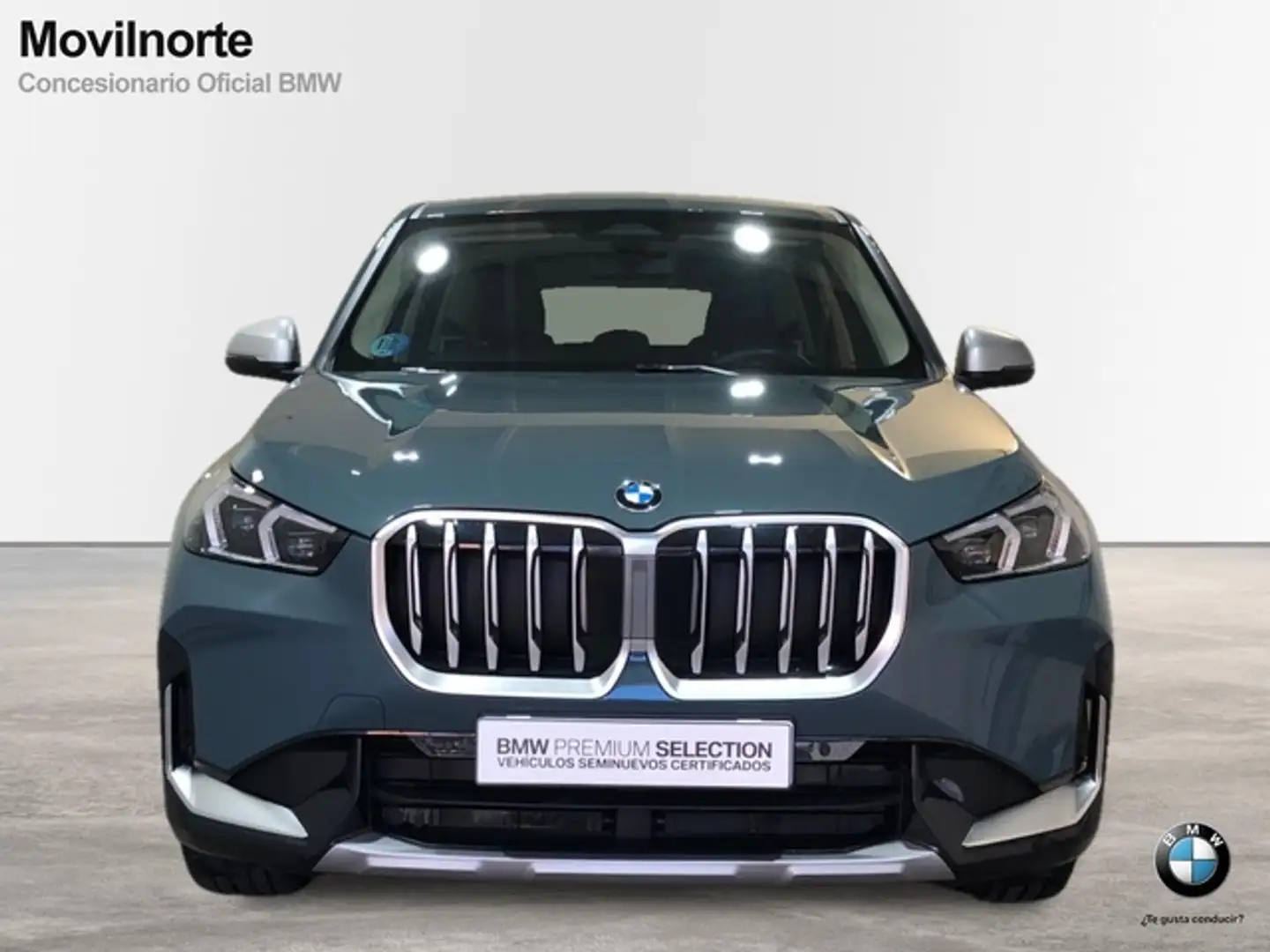 BMW X1 xDrive 20dA Verde - 2