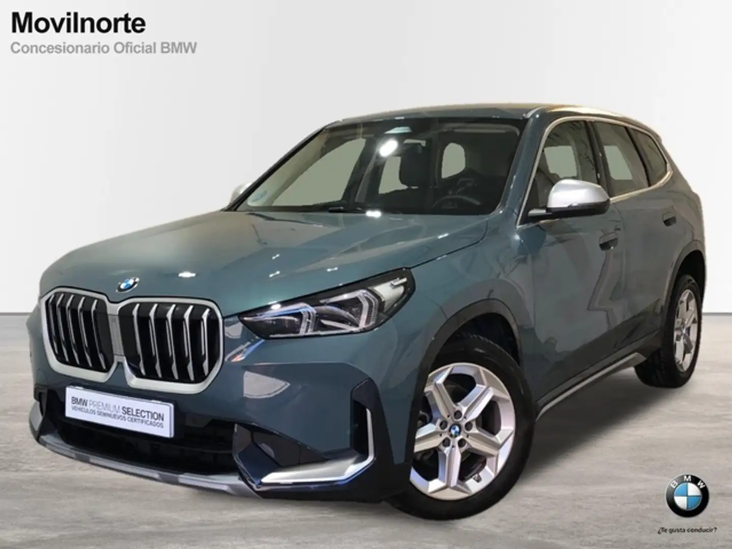 BMW X1 xDrive 20dA Verde - 1