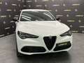 Alfa Romeo Stelvio 2.0 T VELOCE 280CV Q4 WHITE*PELLE*COCKPIT* Blanco - thumbnail 2