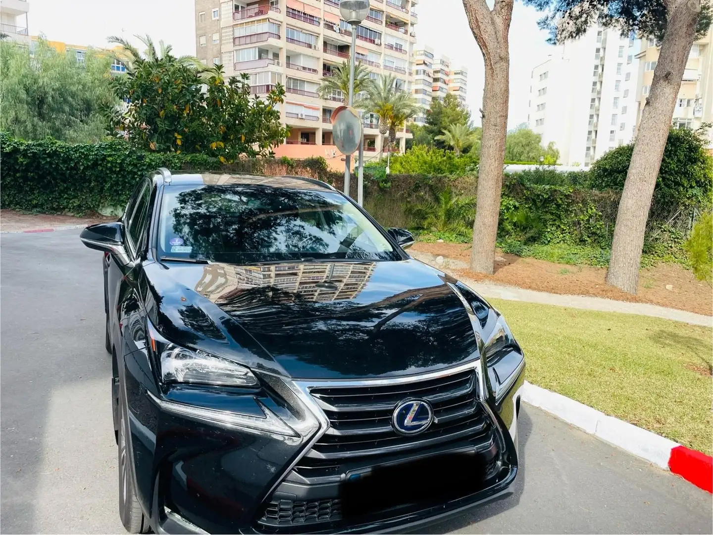 Lexus NX 300h NX 300h Executive 4WD Executive Negro - 1