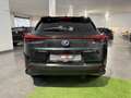 Lexus UX 250h UX Hybrid FHEV allestimento Business Noir - thumbnail 6