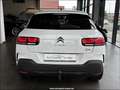 Citroen C4 Cactus Shine 6-Gang Klima Navi Tempo PDC Blanco - thumbnail 7