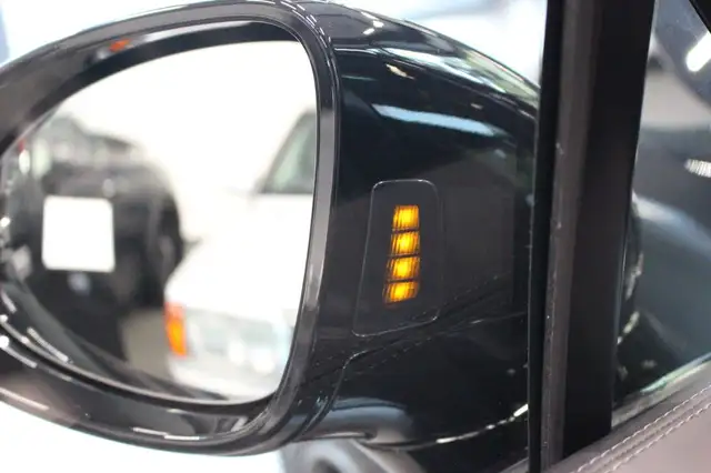 Porsche Cayenne view 25