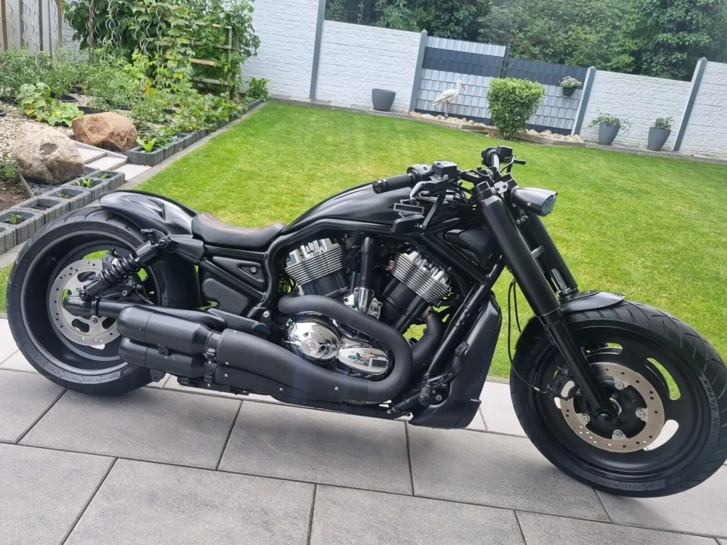 Harley-Davidson VRSC V-Rod Schwarz - 2