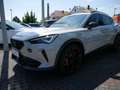 CUPRA Formentor 2.5 TSI VZ5 4Drive TAIGA ACC 360° Gris - thumbnail 24