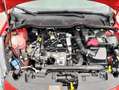 Ford Fiesta Fiesta VII 2022 5p 5p 1.1 Titanium Gpl 75cv Rot - thumbnail 16