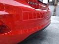 Ford Fiesta Fiesta VII 2022 5p 5p 1.1 Titanium Gpl 75cv Rot - thumbnail 19