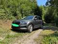 Skoda Karoq Selection Grau - thumbnail 3