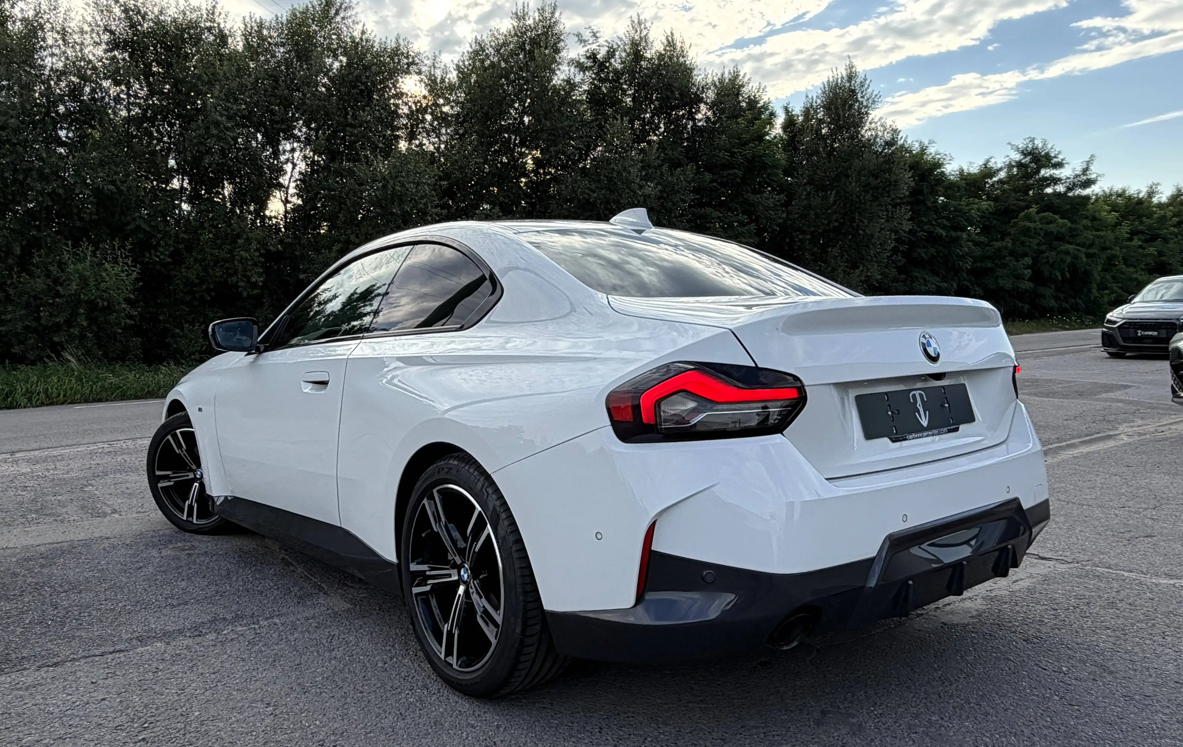 BMW 220 dAS Coupé Pack SPORT M CUIR-ALCANTARA/COCKPIT/LED/SHADOW LINE/CAMERA/1er PROPRIO/HISTO COMPLET — photo 6