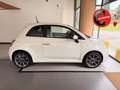 Fiat 500 1.3 mjt 16v S 95cv my14 Weiß - thumbnail 1