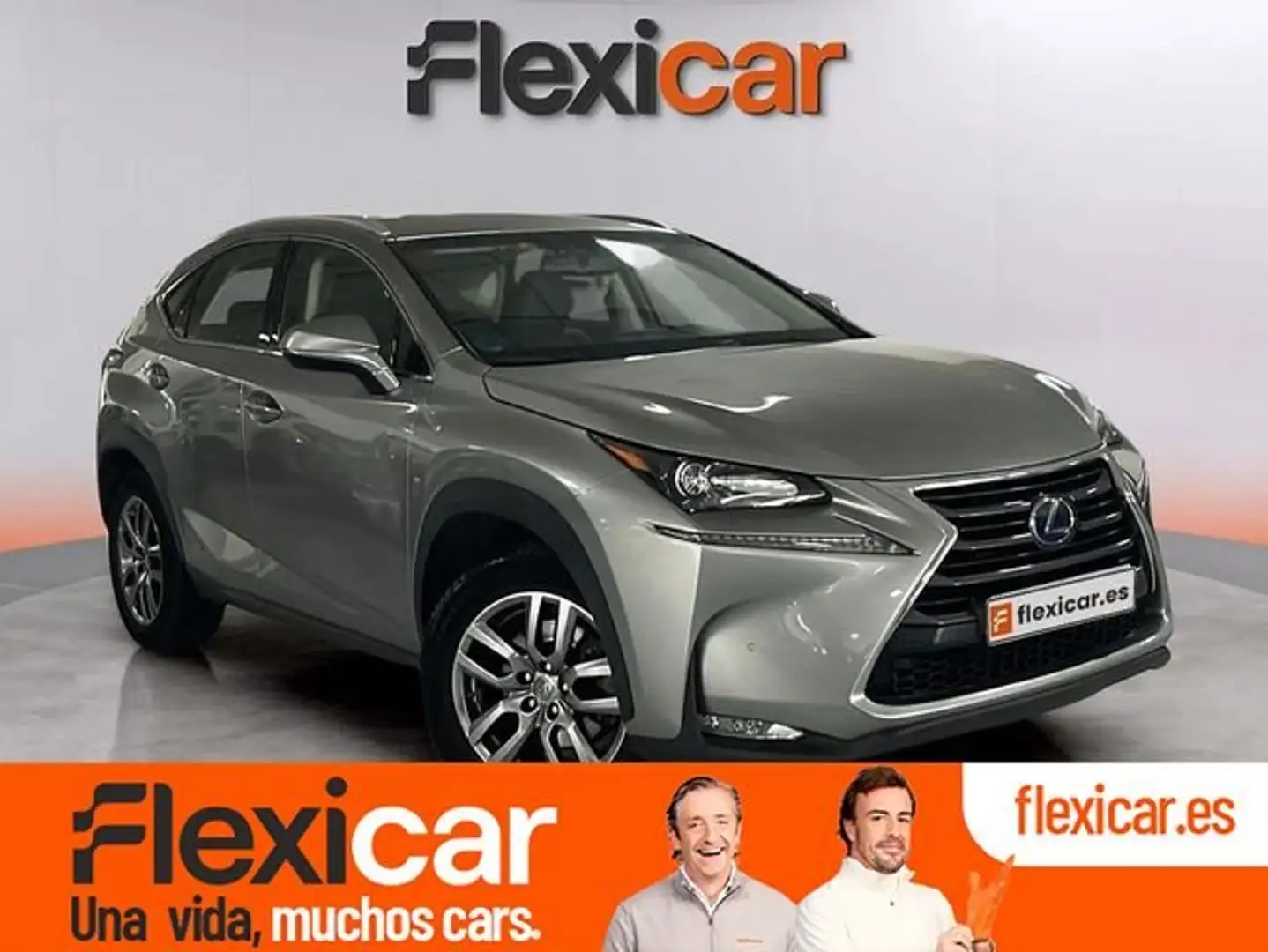 Lexus NX 300 300h Business 2WD Gris - 1