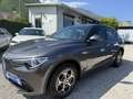 Alfa Romeo Stelvio Stelvio 2.2 t Business Q4 190cv auto Grigio - thumbnail 3