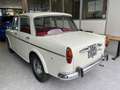 Fiat 1100 103G 1 BERLINA 1100D ISCRITTA ASI Blanc - thumbnail 4