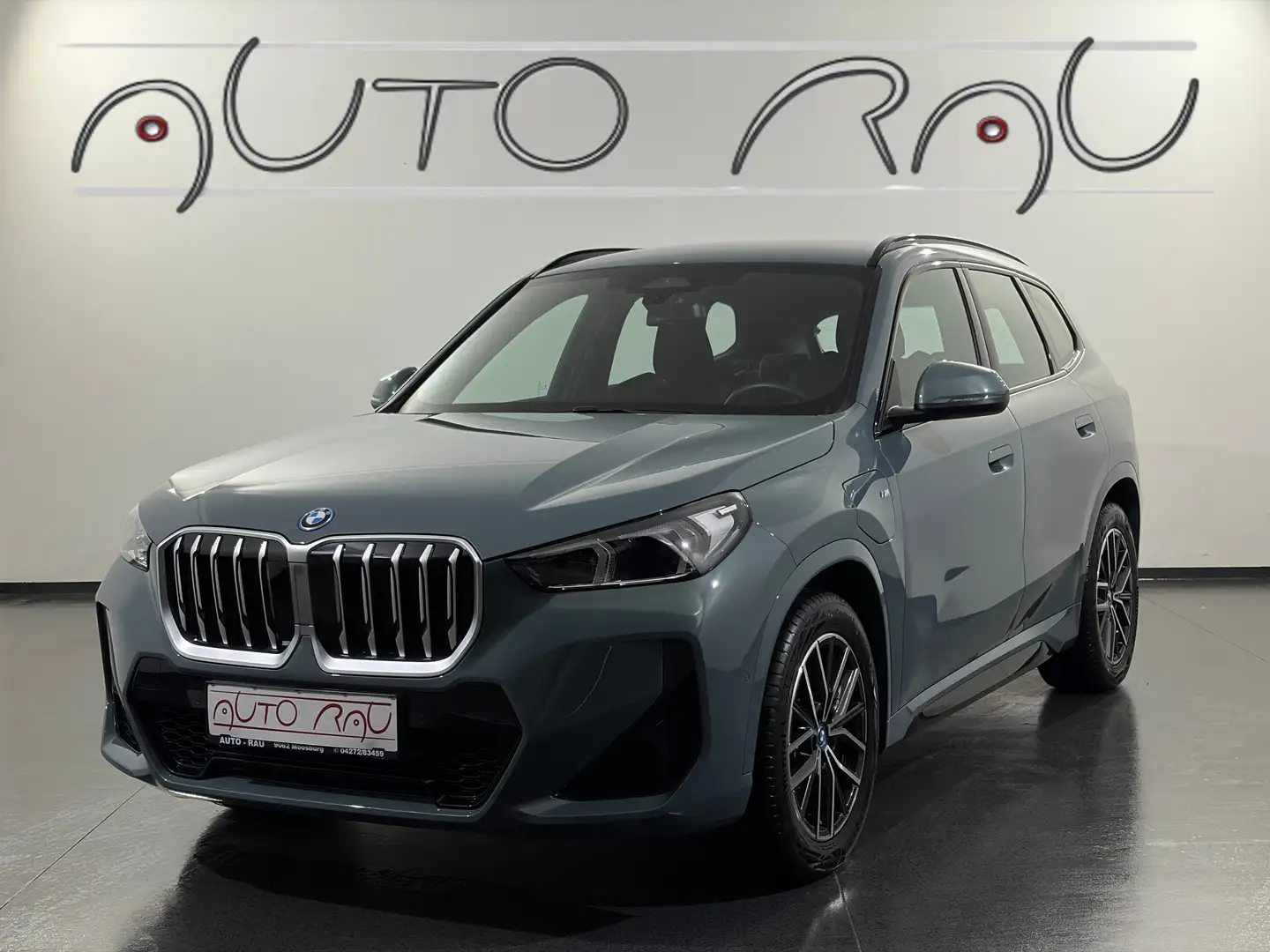 BMW X1 25e MSport xDrive Automatik *LED*NAVI*RFK* Grün - 1