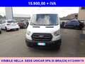 Ford Transit 350 PM-TM Furgone Trend 2.0tdci Mhev 130CV Blanc - thumbnail 2