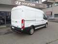 Ford Transit 350 PM-TM Furgone Trend 2.0tdci Mhev 130CV Blanc - thumbnail 6