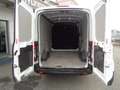 Ford Transit 350 PM-TM Furgone Trend 2.0tdci Mhev 130CV Blanc - thumbnail 9