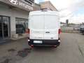 Ford Transit 350 PM-TM Furgone Trend 2.0tdci Mhev 130CV Blanc - thumbnail 8