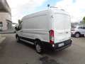 Ford Transit 350 PM-TM Furgone Trend 2.0tdci Mhev 130CV Blanc - thumbnail 7