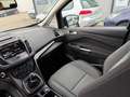 Ford C-Max C-MAX Titanium 2.Hand  AHK Gris - thumbnail 9