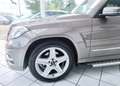 Mercedes-Benz GLK 220 BlueEfficiency*4Matic*8 Fach*Ahk*H&K* Grau - thumbnail 13